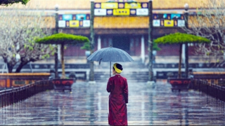 Miền Bắc và Bắc Trung Bộ chuyển mưa lạnh, nhiều nơi mưa to