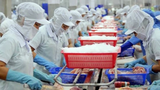 Tìm cơ hội trong xuất khẩu thủy sản