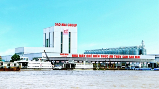 Sao Mai Super Feed “kim bài” nâng tầm chất lượng cá tra