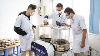 Mô hình “đại học thu nhỏ” ở bậc phổ thông tại Vinschool