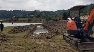 Phát hiện gần 52 nghìn vụ vi phạm công trình thuỷ lợi