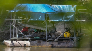 Cuộc chiến với vàng tặc trong rừng Amazon