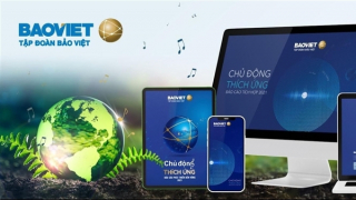 Quý I/2022, tổng doanh thu hợp nhất của Tập đoàn Bảo Việt đạt 13.158 tỷ đồng