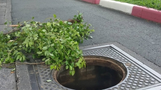 Hàng loạt nắp cống bị lấy trộm
