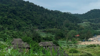 Xử lý vi phạm trong xây dựng, kinh doanh du lịch trên bán đảo Sơn Trà