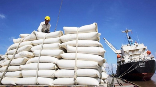 Gia tăng xuất khẩu gạo sang thị trường ASEAN