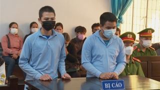 Manh động đánh người trọng thương