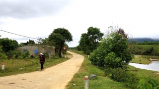 Người dân tái định cư thủy điện A Lưới vất vả mưu sinh