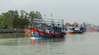 Ra khơi mùa “mặt trời xuống biển như hòn lửa”