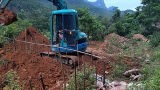 Quảng Bình: Không để dịch tả lợn châu Phi lan rộng