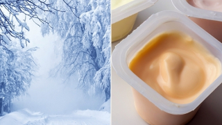 6 ngày sinh tồn trong bão tuyết nhờ... sữa chua