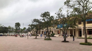 Tạm dừng đứng lớp với cô giáo đánh học sinh lớp 3 bầm tím lưng