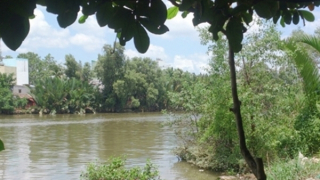 Sát hại chồng rồi buộc cục sắt dìm xác xuống ao