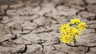 Một thế giới diệu kì của tự nhiên