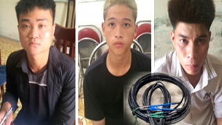 Cắt trộm cáp viễn thông bán lấy tiền ăn tiêu