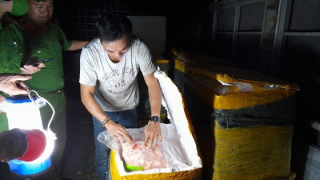 Thêm 3,4 tấn nầm lợn, chân gà thối  bị phát hiện