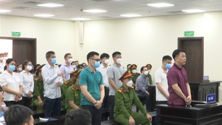 VN Pharma đã nhập thuốc giả như thế nào?