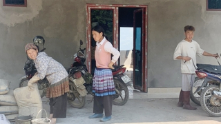 Phập phồng sốt đất ở Y Tý