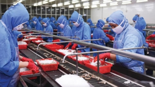 Xuất khẩu tăng tốc khi tận dụng hiệu quả các hiệp định thương mại