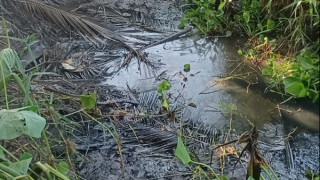 Người vợ khai giết, dìm xác chồng vì "hay nhậu nhẹt, đánh đập"