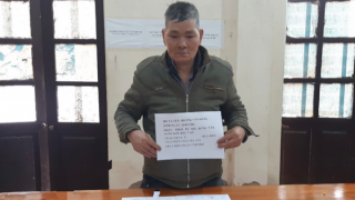 Xé lẻ ma túy "ém" khắp nhà, vườn