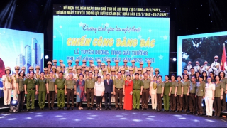 Những bông hoa khoe sắc trong vườn hoa đẹp