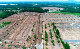 Vẽ dự án phân lô bán nền trên 157 ha đất để lừa đảo chiếm đoạt tài sản