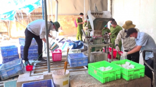 Khởi tố vụ chôn chất thải gây ô nhiễm tại Công ty CP Bóng đèn Điện Quang