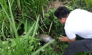 Nhiều cá lồng chết bất thường ở đập Trà Si