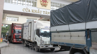 Khuyến cáo doanh nghiệp xuất khẩu nên sớm chuyển sang chính ngạch