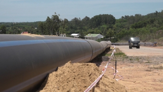 Nhà máy bột giấy thi công đường ống xả nước thải khi chưa được cấp phép