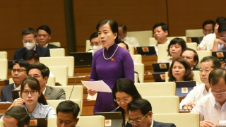 Liệu có những "vụ Việt Á" trong lựa chọn SGK hay không?