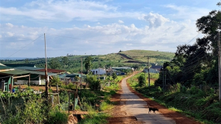Nhà đầu tư thuê đất rồi bỏ hoang, để mặc dân lấn chiếm