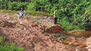 Đường tuần tra rừng Vườn Quốc gia Bạch Mã “kêu cứu”