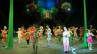 Tiến tới chấm dứt sử dụng thú hoang dã trên sân khấu xiếc