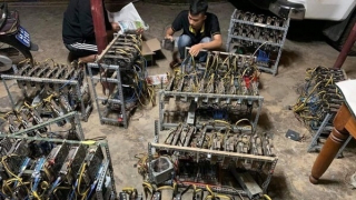 Trào lưu "lướt sóng" chứng khoán, tiền kỹ thuật số: Cú sập hầm tan nát