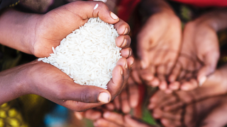 Thế  giới trong cơn đói trực chờ