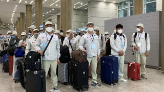 Thị trường xuất khẩu lao động tái khởi sắc
