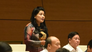 Cử tri lo lắng điện hạt nhân Ninh Thuận bị dừng 14 năm nay vẫn tiếp tục... quy hoạch