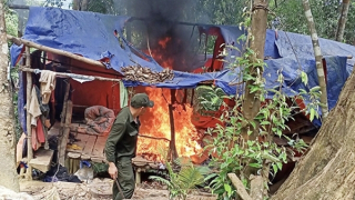 Quyết liệt ngăn chặn khai thác vàng trái phép