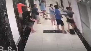 Điều tra vụ người đàn ông xô đẩy, hành hung cô gái tại thang máy