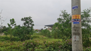 Rộ tình trạng "bỏ cọc" đất ở Quảng Trị