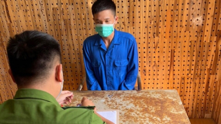 Sử dụng mạng xã hội lừa bán cây cảnh