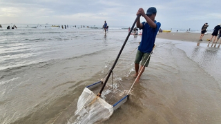 Thương đời phu nghêu