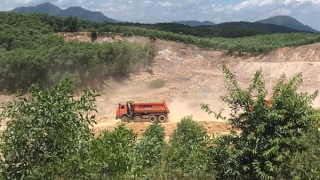 Xử phạt doanh nghiệp chiếm gần 4.000m2 đất rừng sản xuất