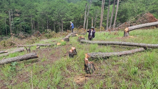 Gian nan cuộc chiến bảo vệ rừng ở Tây Nguyên