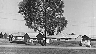 Vụ trốn trại lạ lùng