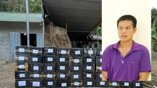 Ngặn chặn kịp thời vụ vận chuyển trái phép hàng hóa lớn qua biên giới