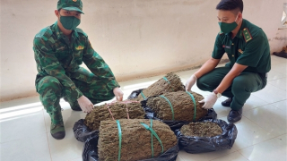 Bắt giữ trên 18kg cần sa qua biên giới An Giang