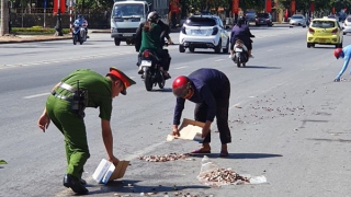 Hình ảnh đẹp chiến sỹ Công an thu gom cá giúp người dân